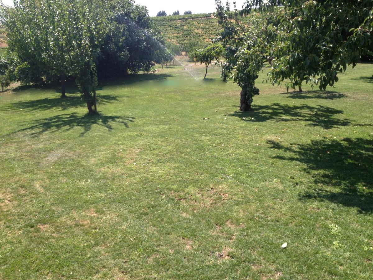 Casa de hóspedes Quinta Da Pereira E Enricas Agro-turismo 2*