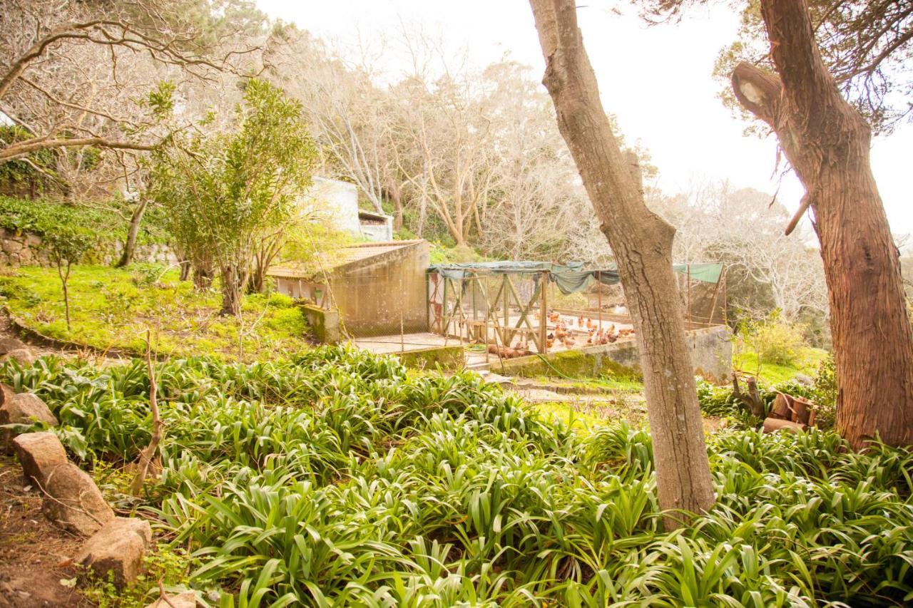Almaa Hostel Sintra