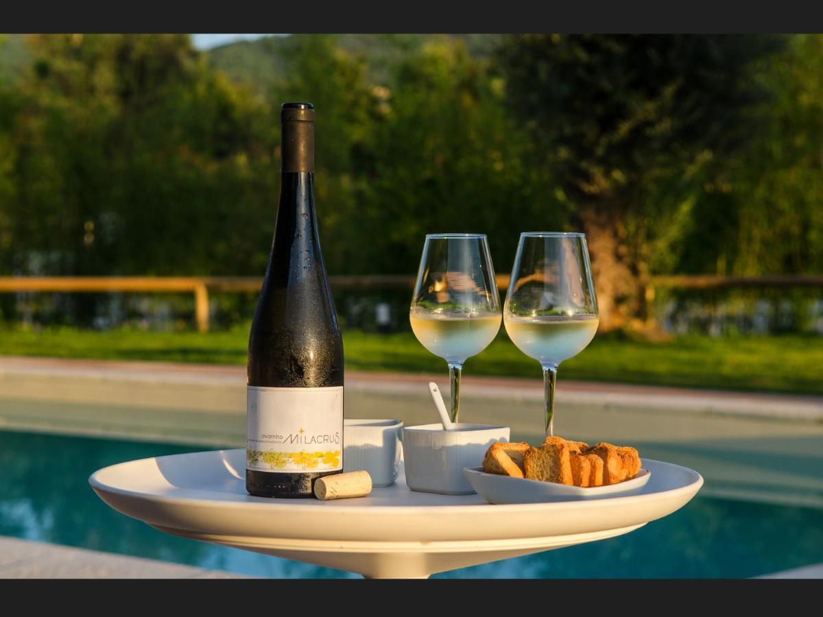 Quinta Da Teimosa