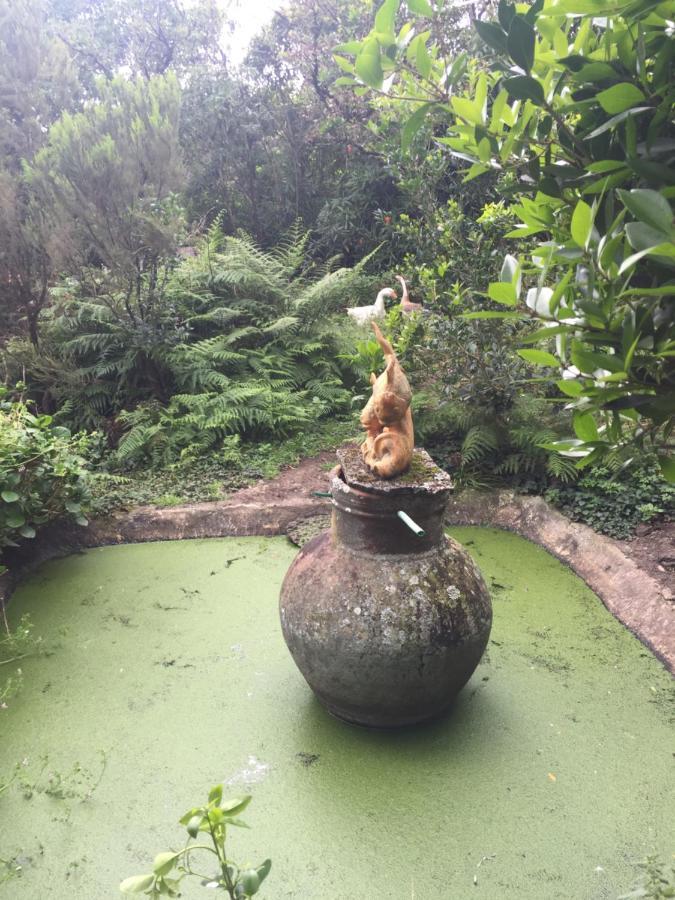 Estadia no rancho Intact Farm Velas