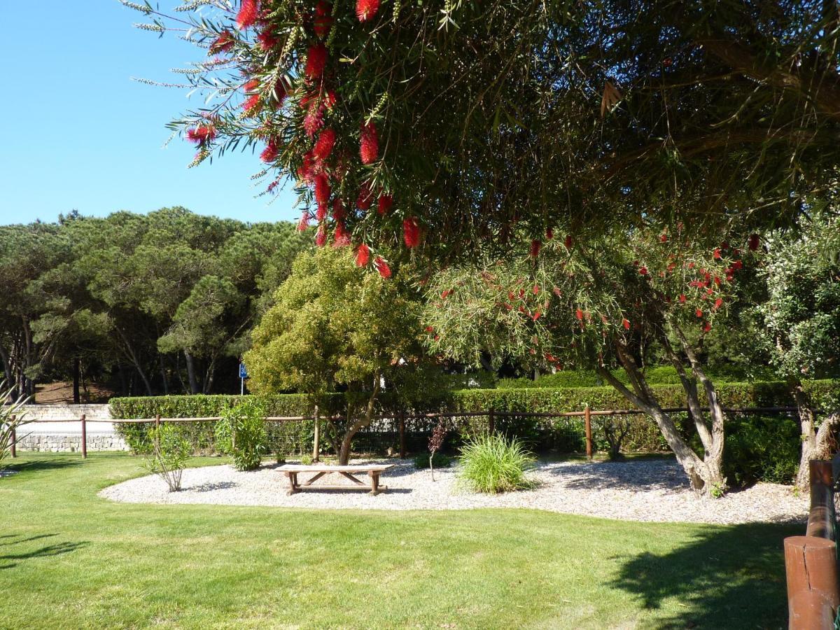 Apartamento Moura - Praia D'El Rey Golf, Surf & Beach Resort *
