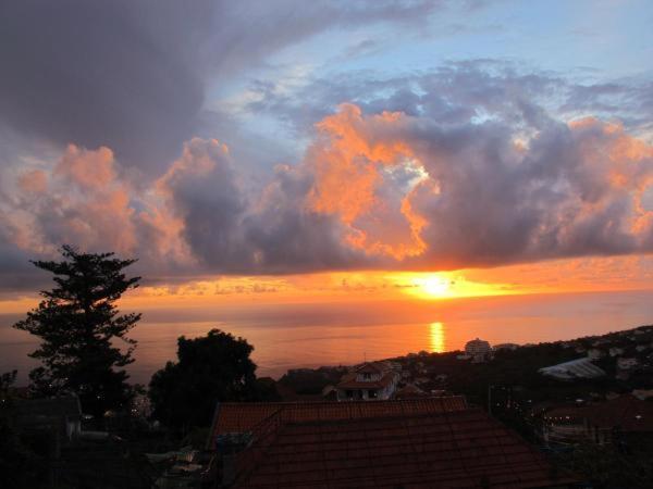Madeira House Holiday home Calheta (Madeira)