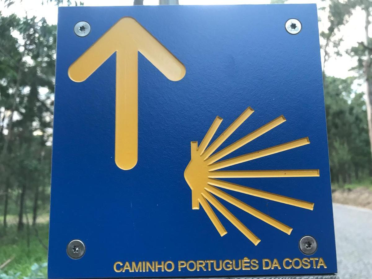 Vasco Da Gama