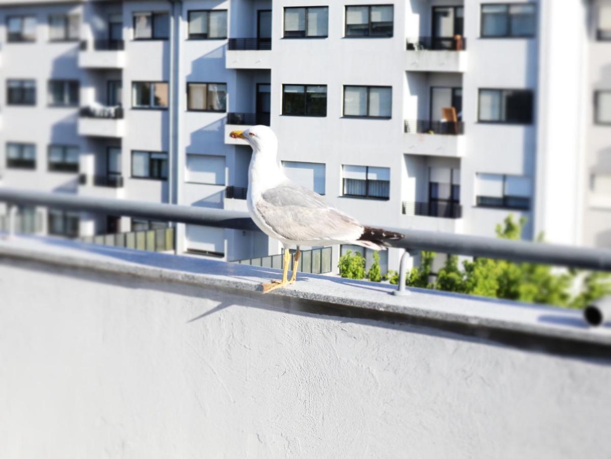 River & Ocean Accommodatie bij particulieren *