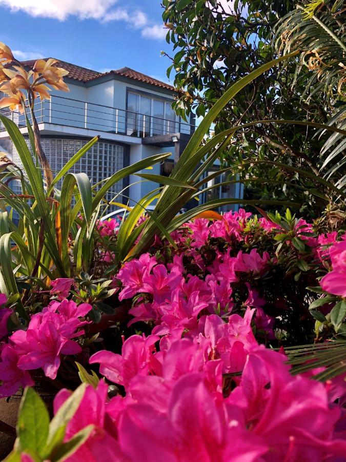 Quinta Da Bela Vista Holiday home