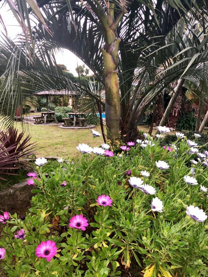 Quinta Da Bela Vista * Ponta Delgada (Sao Miguel)
