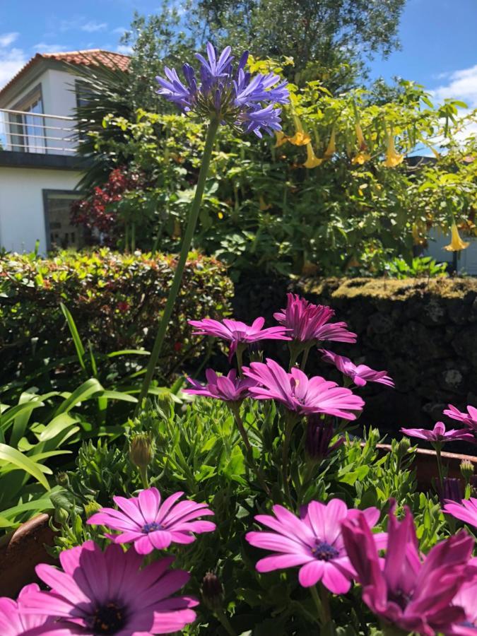 Quinta Da Bela Vista Holiday home