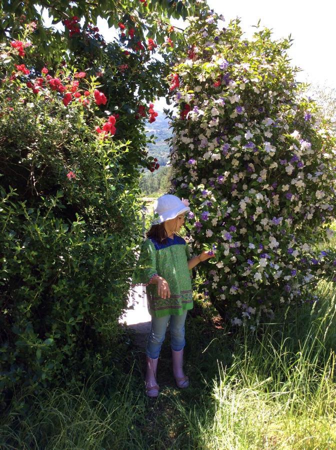 Holiday home Family Secrets Douro