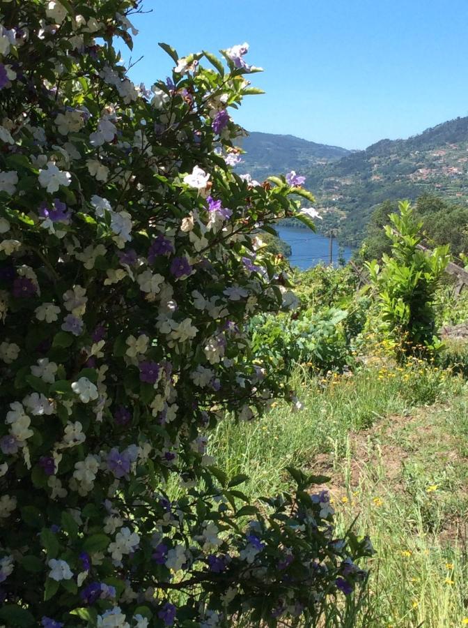 Holiday home Family Secrets Douro Ribadouro