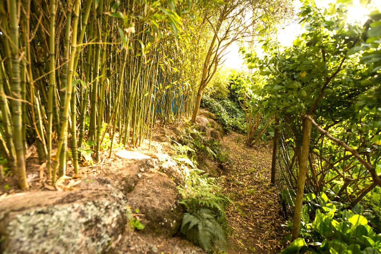Сasa de vacaciones A House In The Woods *