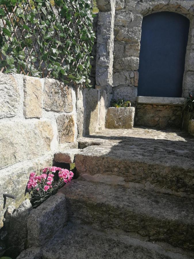 Casa Colmeia Vakantiehuis *