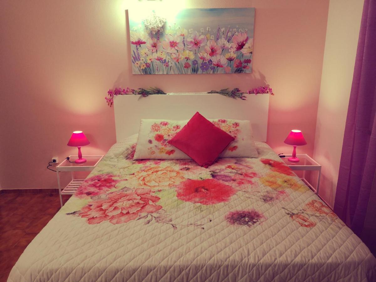 Nature Guest house *