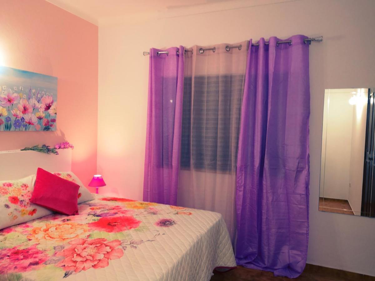 Guest house Nature *