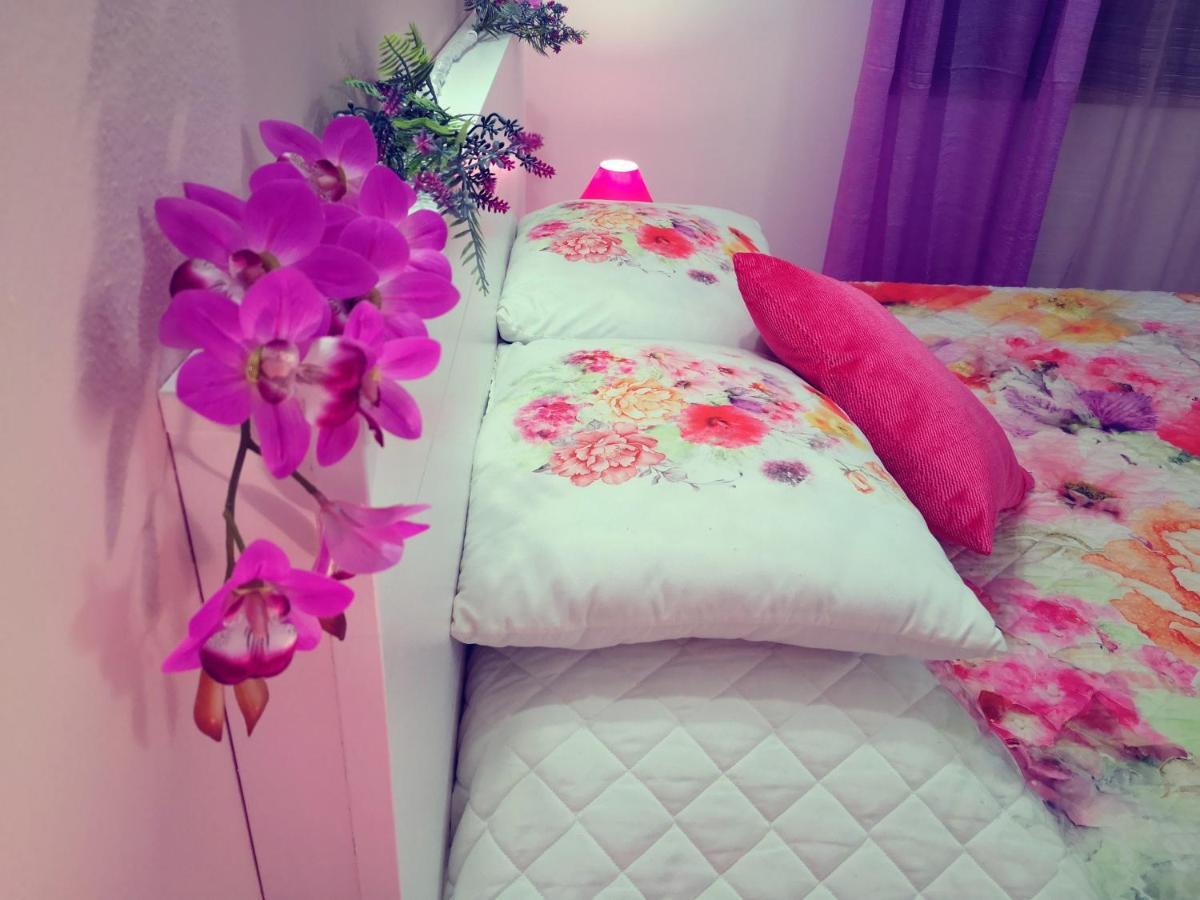 Guest house Nature Lagos