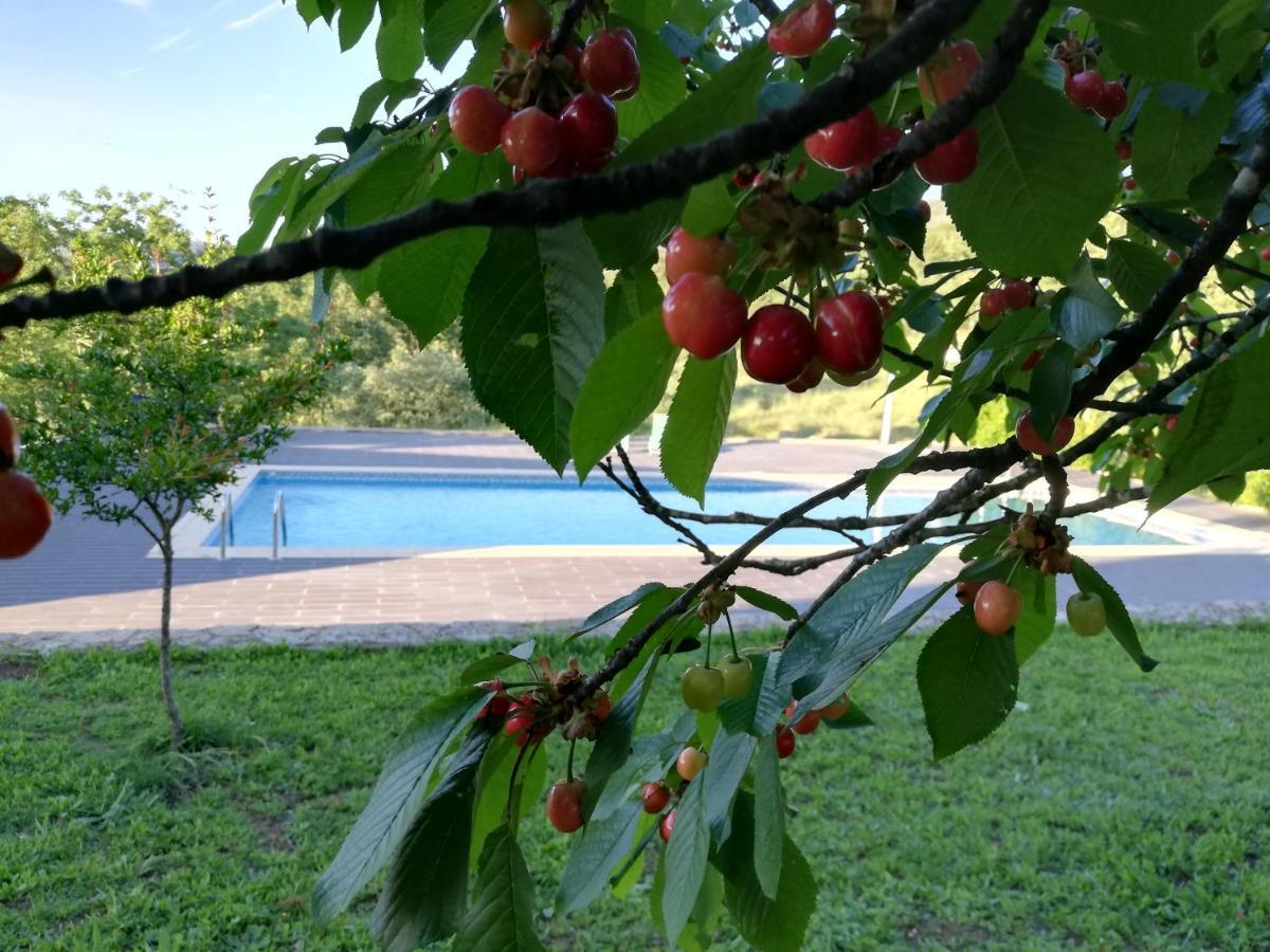 Quinta Dos Carvalhais - Serra Da Estrela Vakantieboerderij