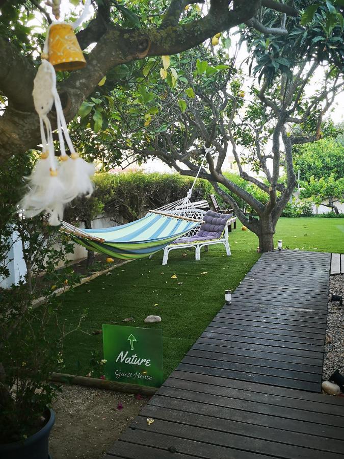Nature Guest house *