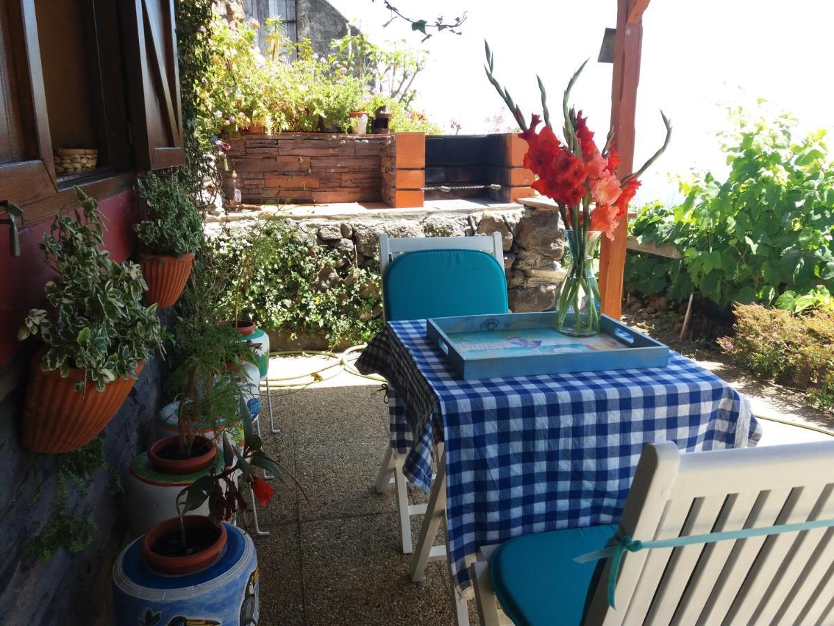 Casa D'alegria Madeira Island Holiday home Ribeira Brava