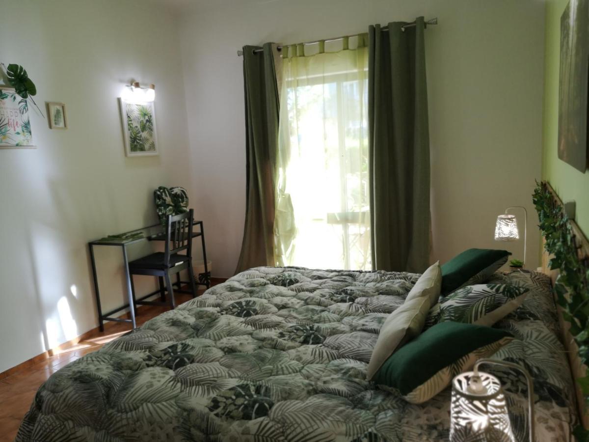 Nature Guest house *