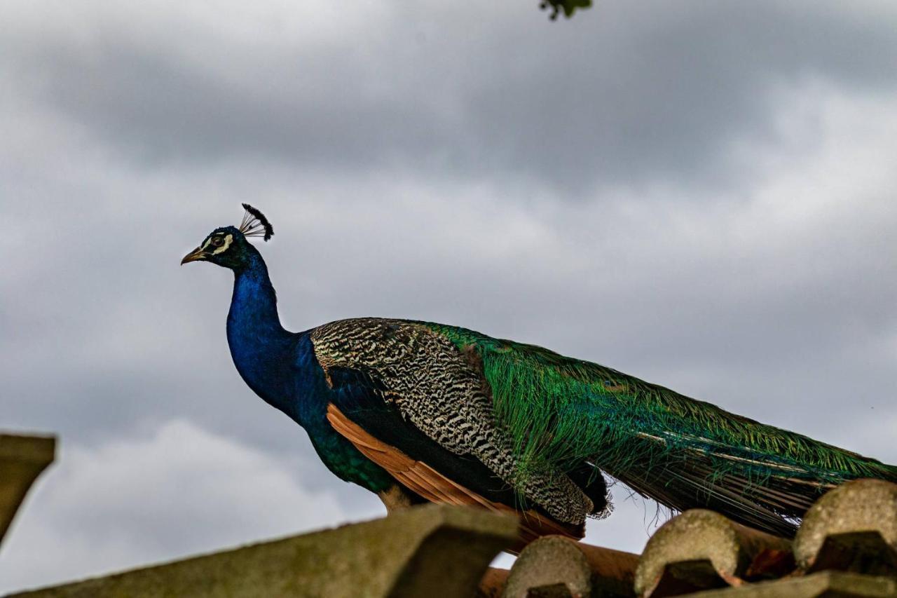 Quinta Da Foz Farm stay Foz do Arelho