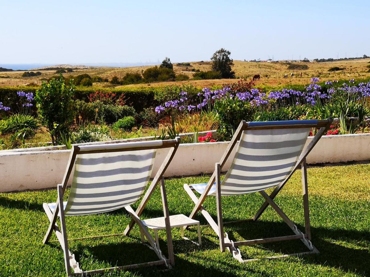 Farm stay Herdade Do Pessegueiro *