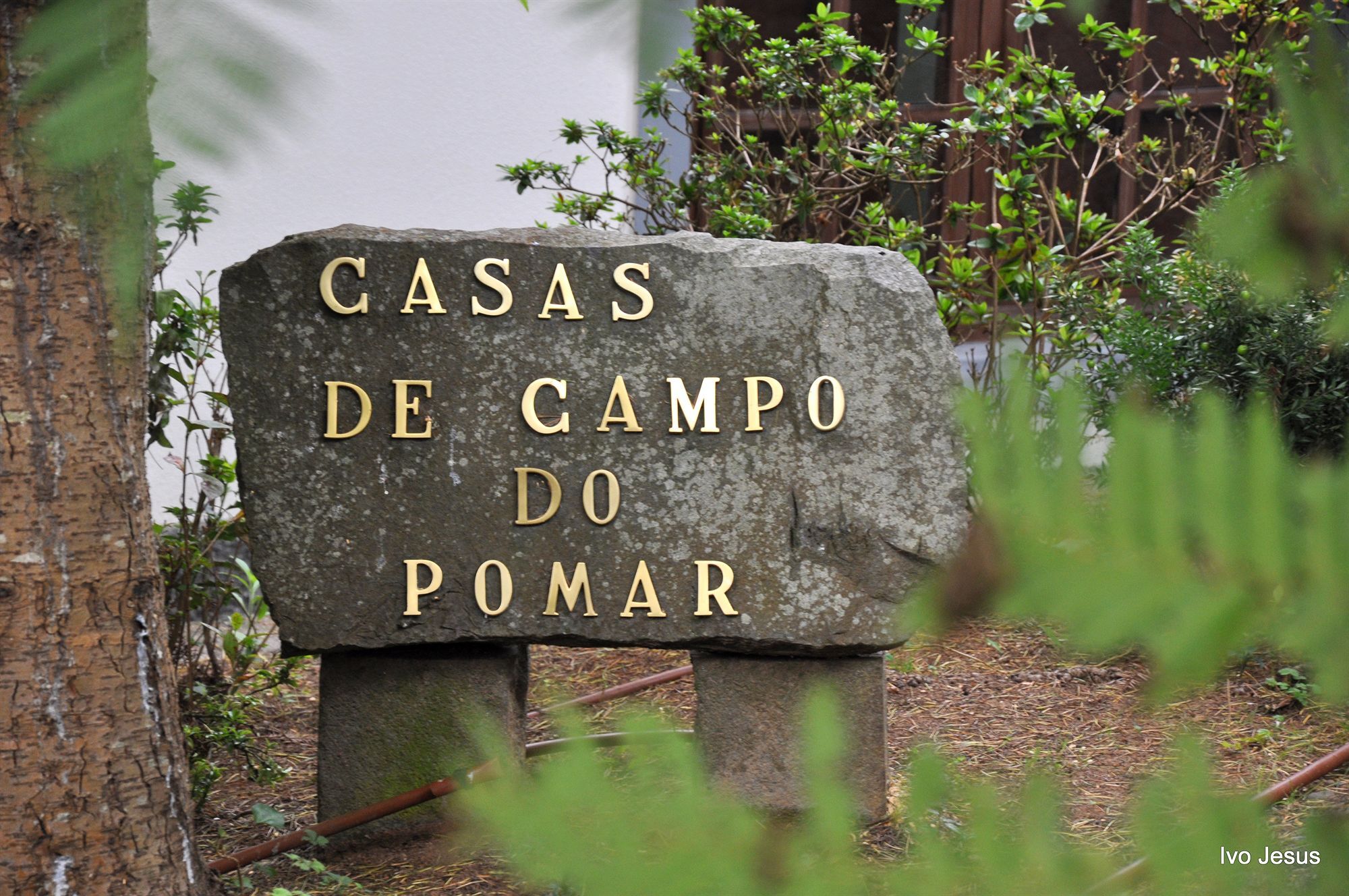 Do Pomar - Self Check-in Campo de férias