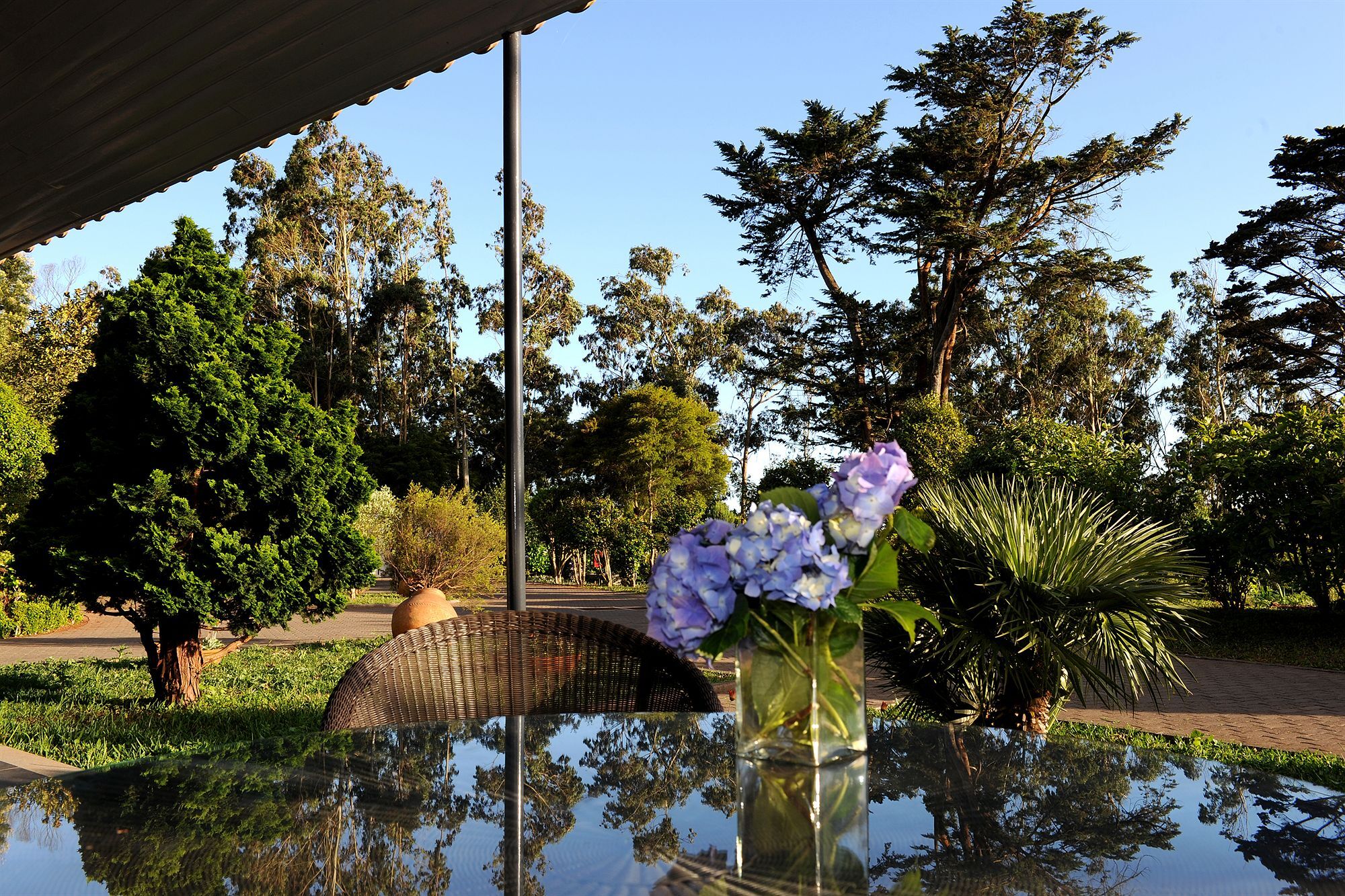 Quinta Da Cova Do Milho Santo Antonio da Serra