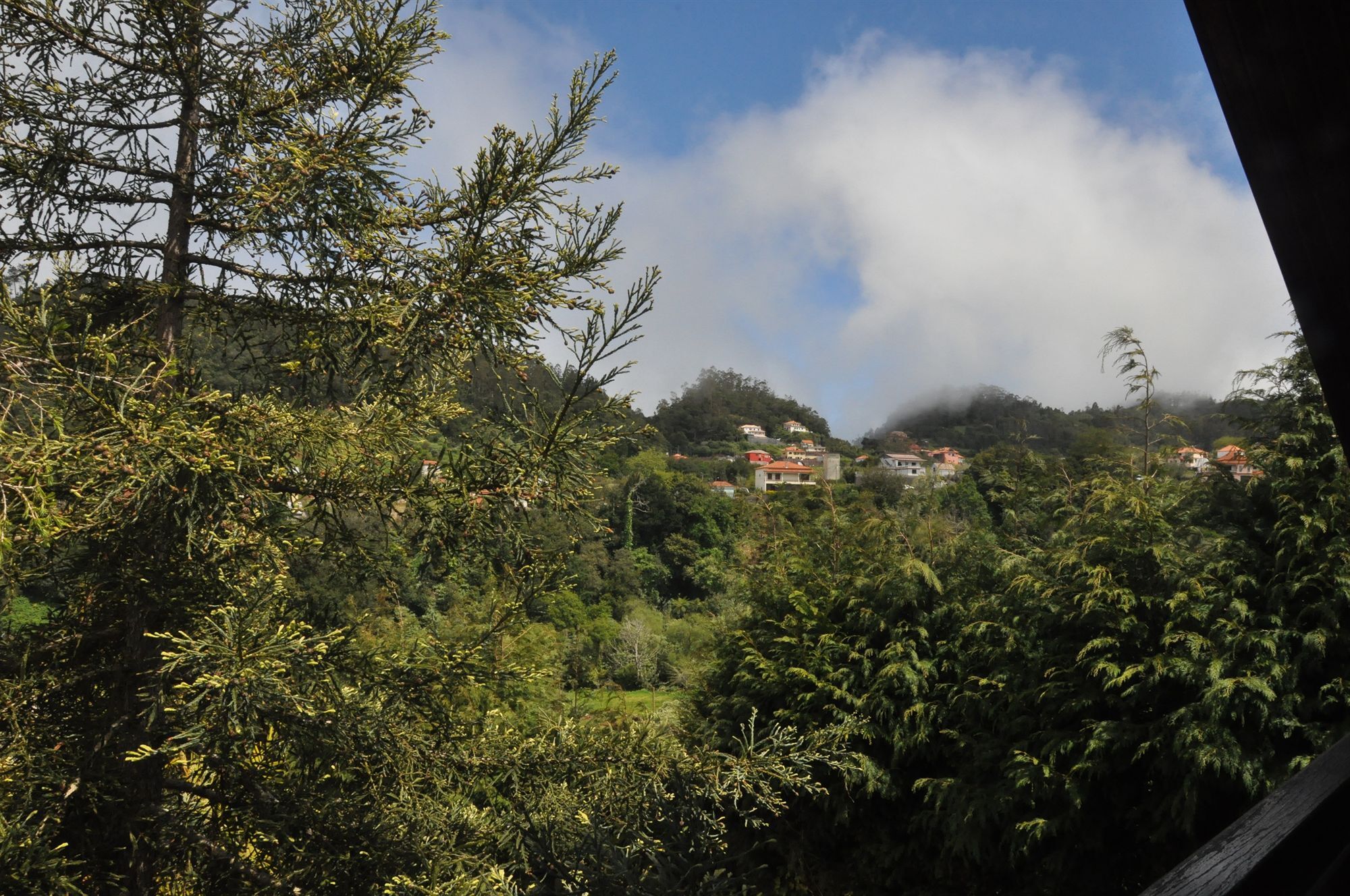 Do Pomar - Self Check-in Campo de férias Santana (Madeira)