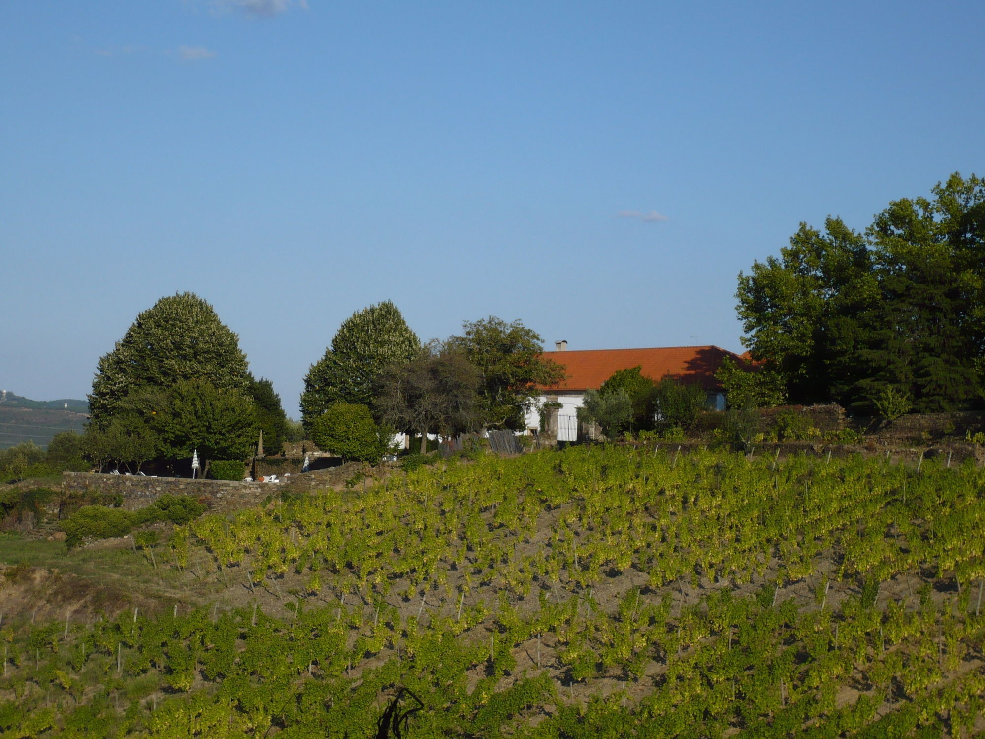 Casa De Vilarinho De S. Romao Guest house 3*