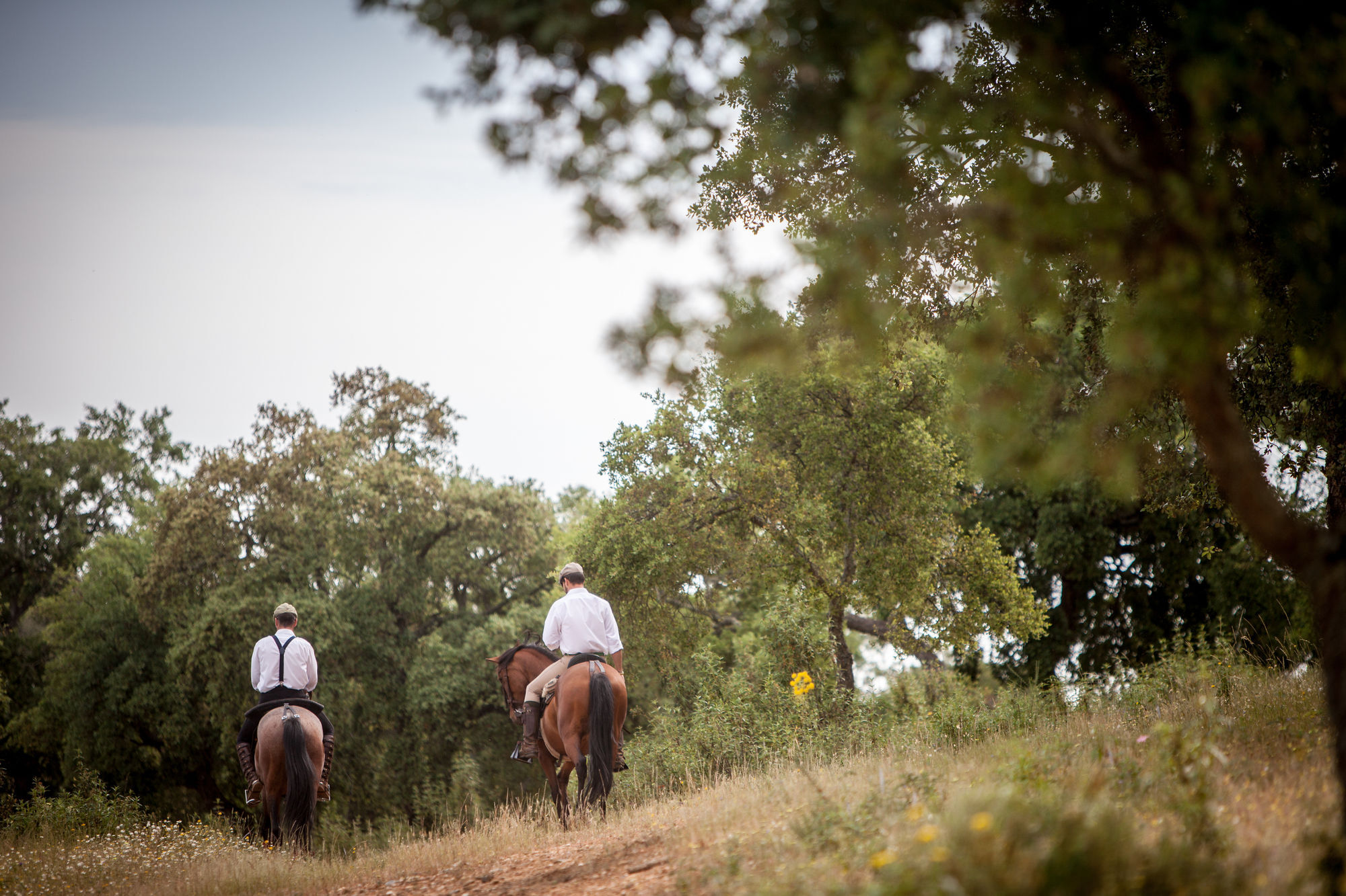 Monte Da Esperanca Agroturismo Esperanca (Portalegre)
