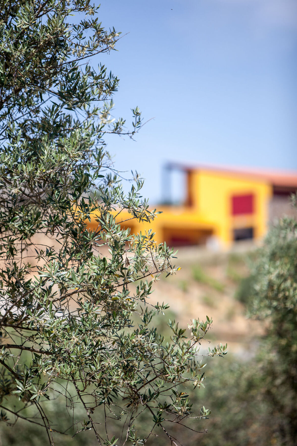 Monte Da Esperanca Agroturismo *