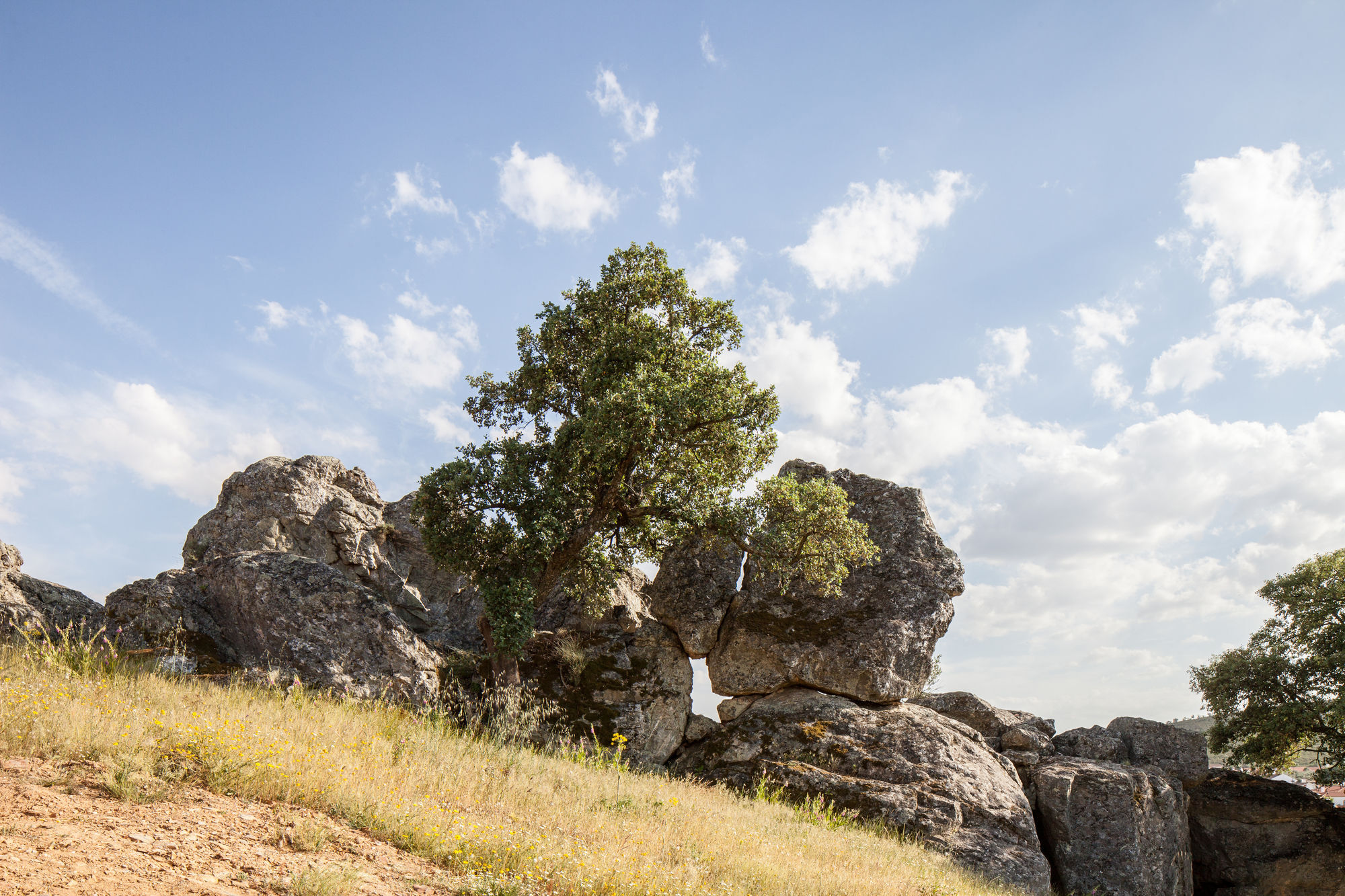 Monte Da Esperanca Esperanca (Portalegre)