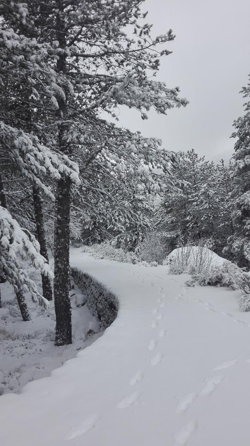 Da Serra Da Estrela 4*