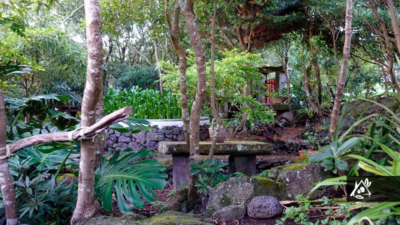 Quinta Do Paraíso * Porto Martins