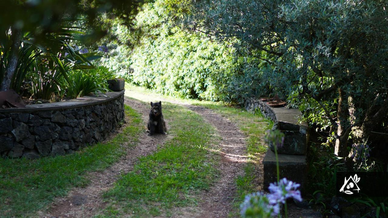 Quinta Do Paraíso Сasa de vacaciones Porto Martins