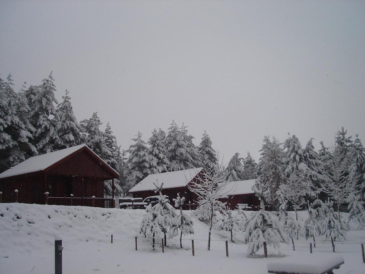 Parque Biologico De Campsite Vinhais