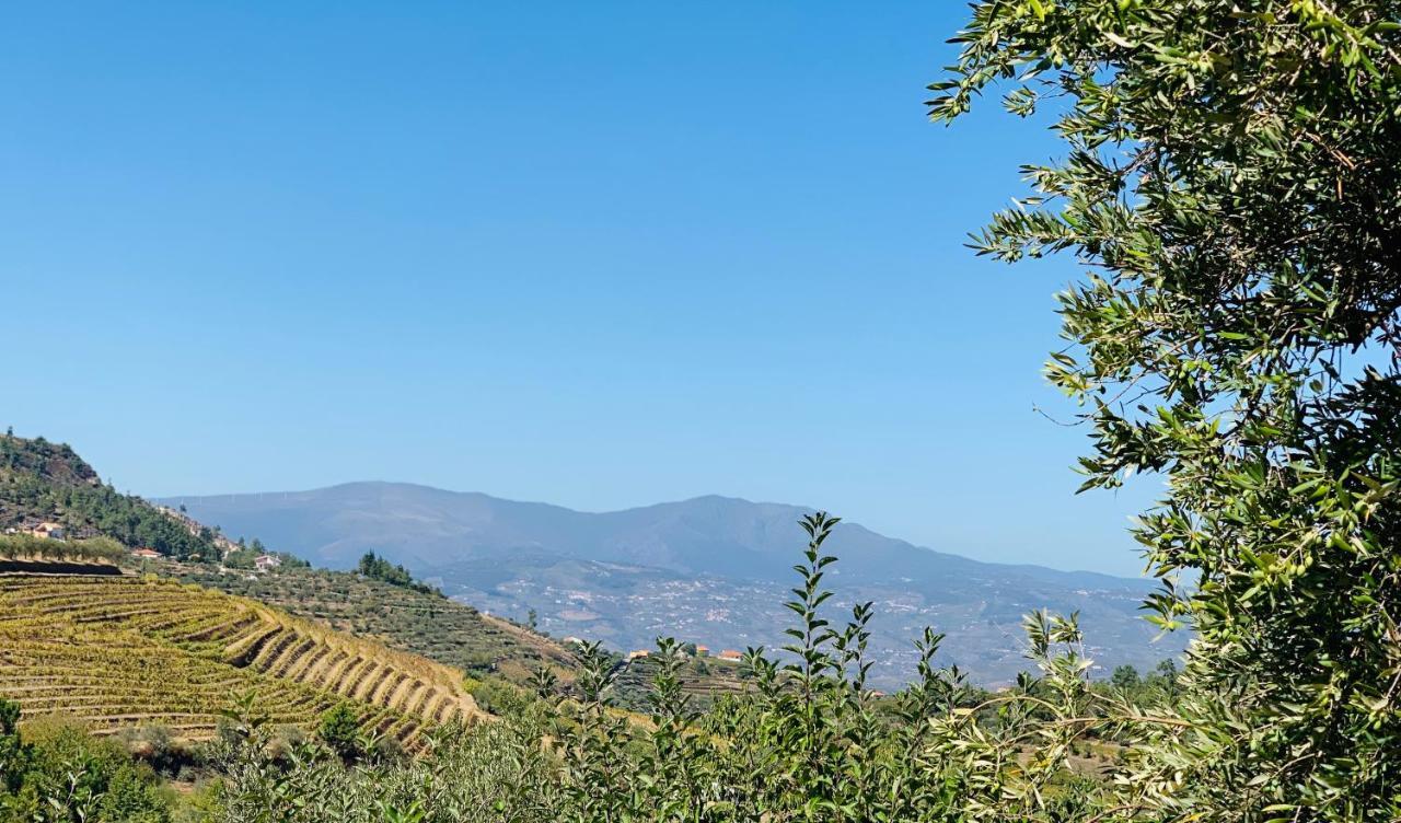 Casa De Sao Miguel Douro *