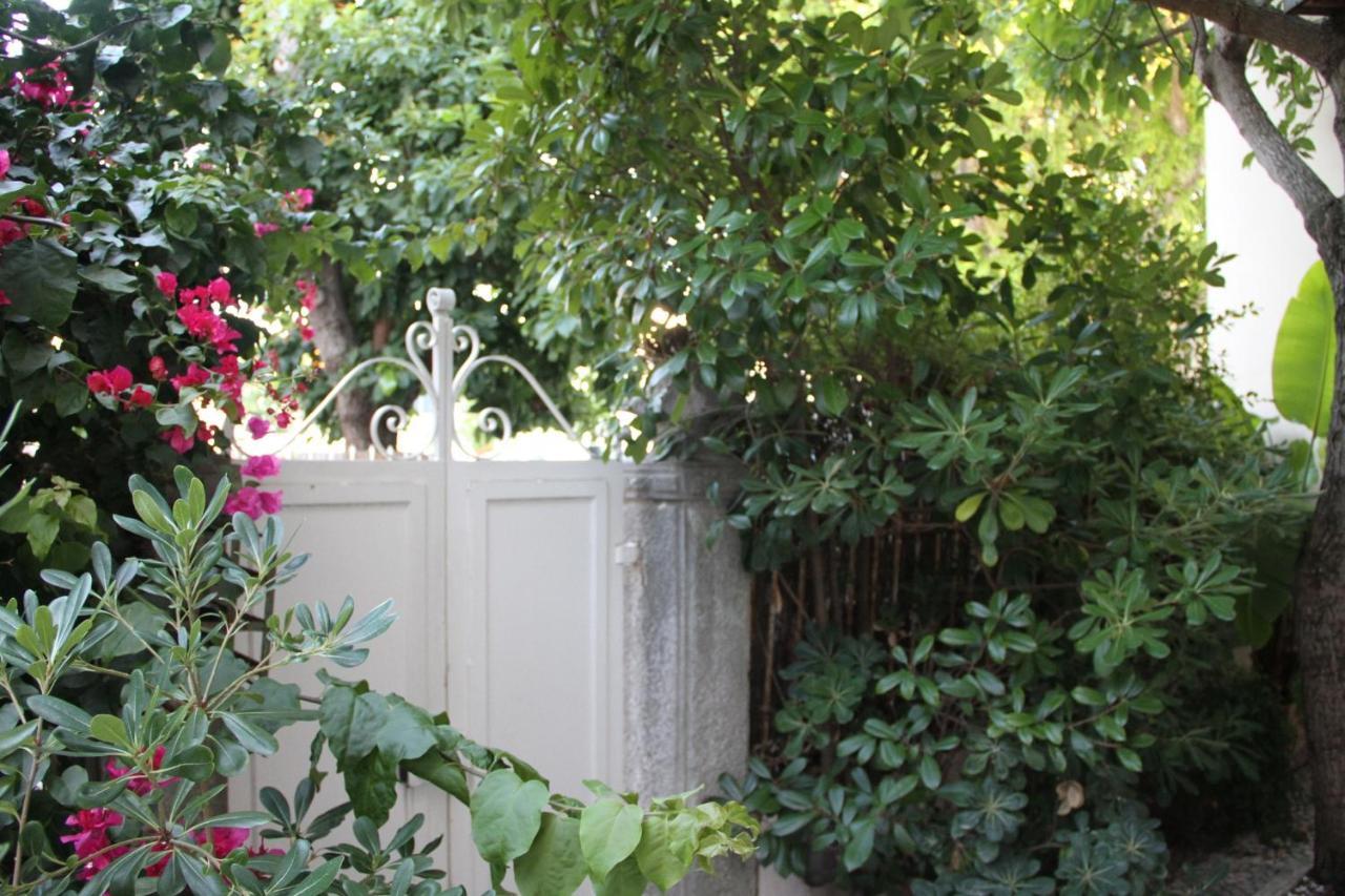 Guest house Ninho Salino *