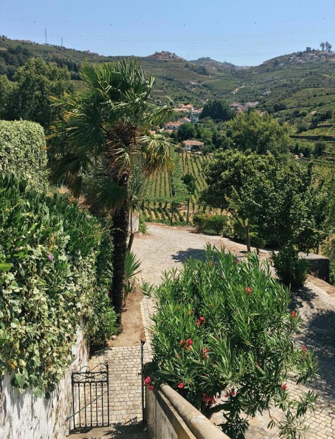 Quinta Do Fojo * Lamego