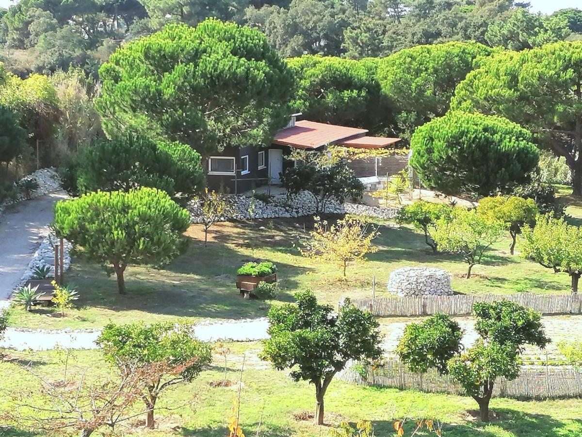 Country house Quinta Do Meco - & Nature *