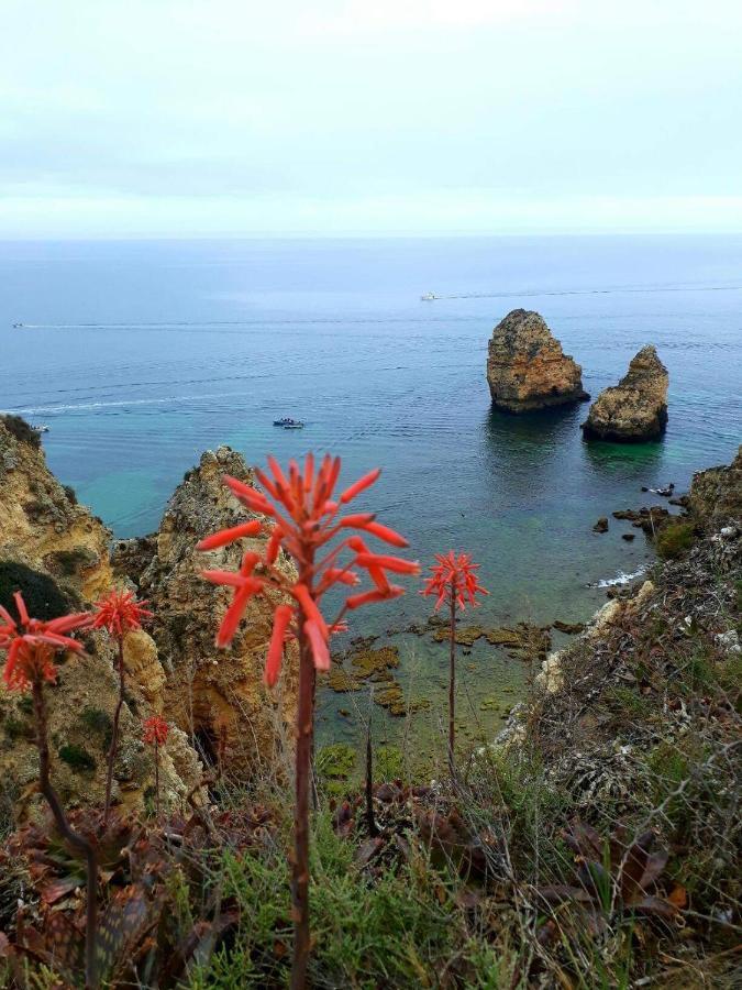 Maravilha Da Costa