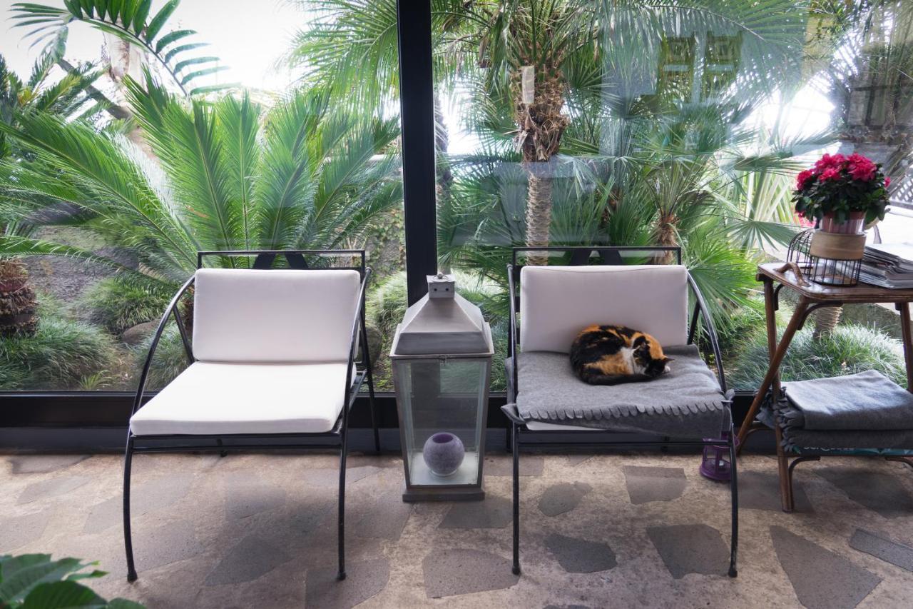 Casa Proteas Bed & Breakfast Sao Jorge (Madeira)