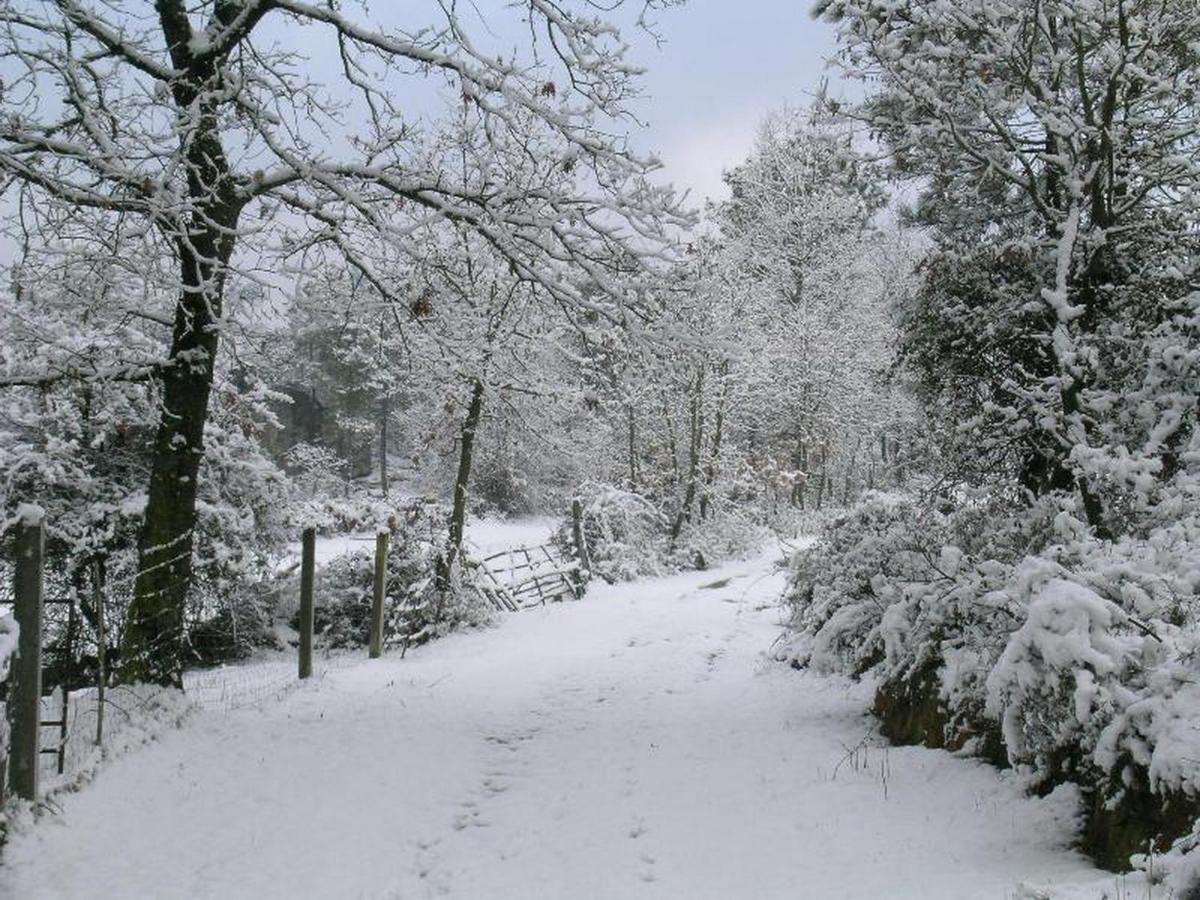 Quinta Dos Carvalhais - Serra Da Estrela *