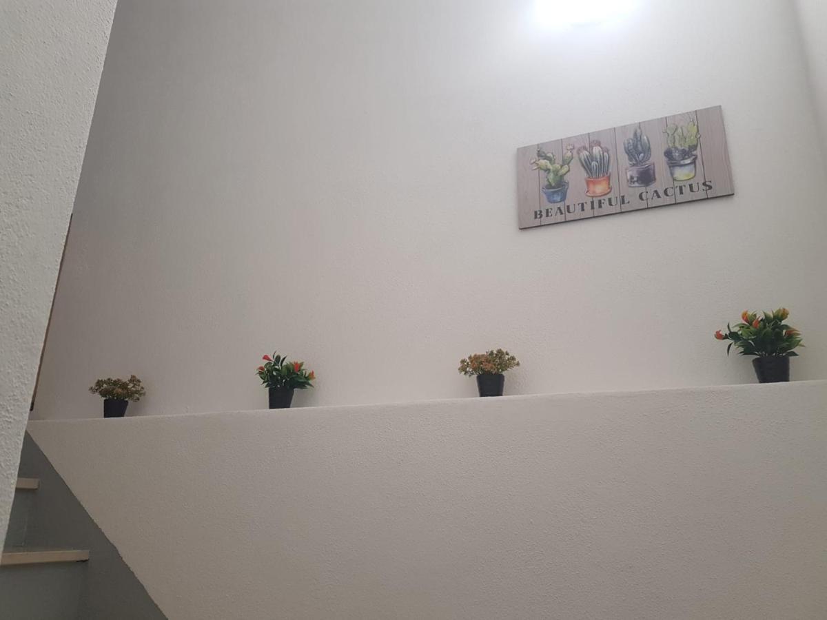 Casa Dos Avos E Netos