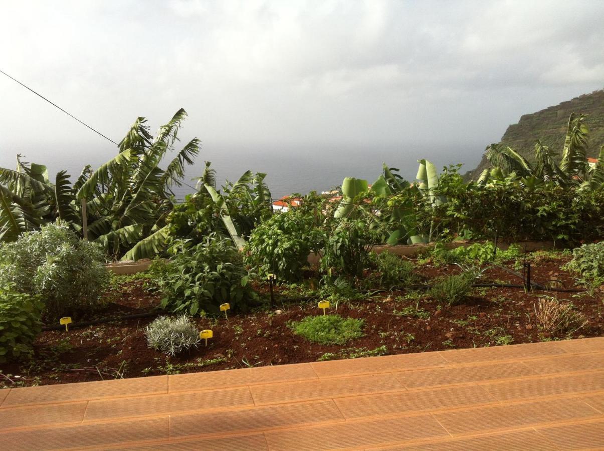 Escola Da Bica Holiday home Arco da Calheta (Madeira)