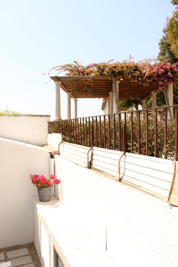 Apartment Miradouro's Loft Setubal