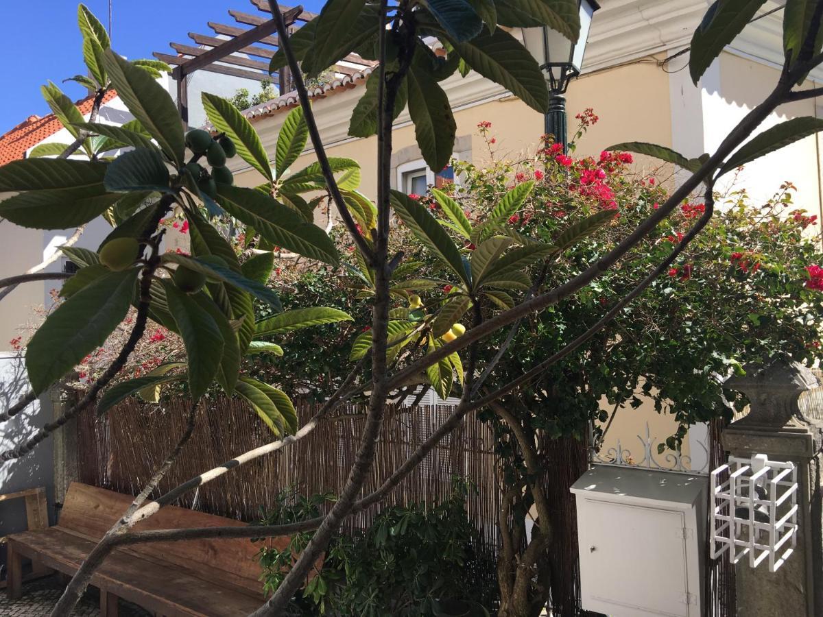 Ninho Salino Guest house Cascais