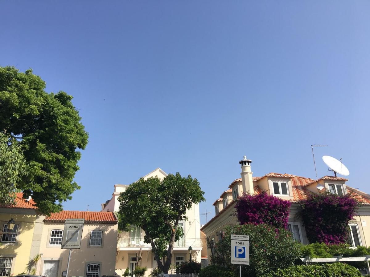 Ninho Salino Cascais