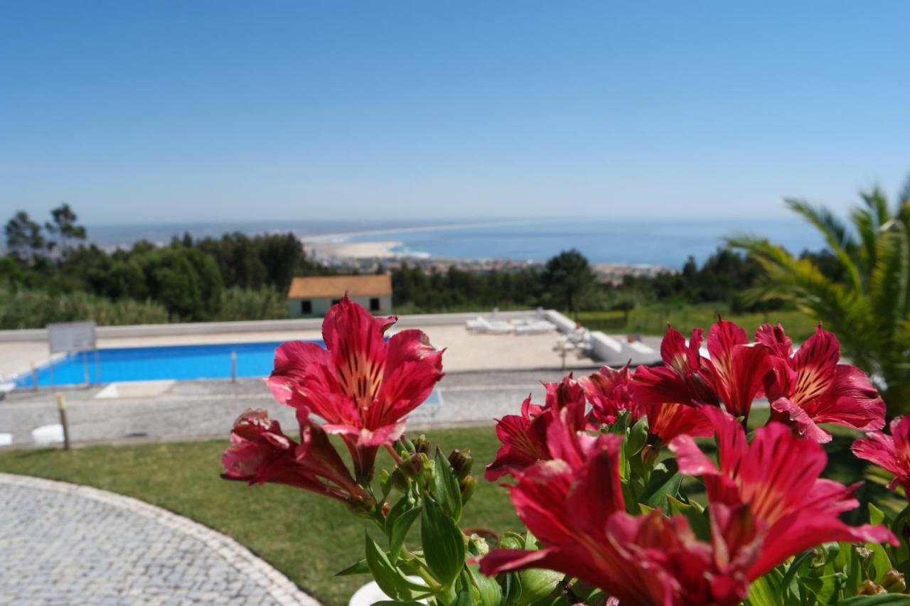 Casa Pinha Guest house