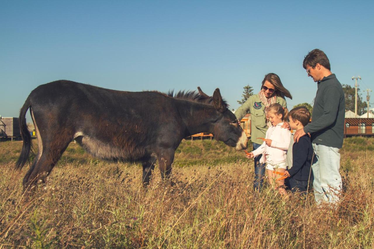 Zmar Eco Experience Odemira