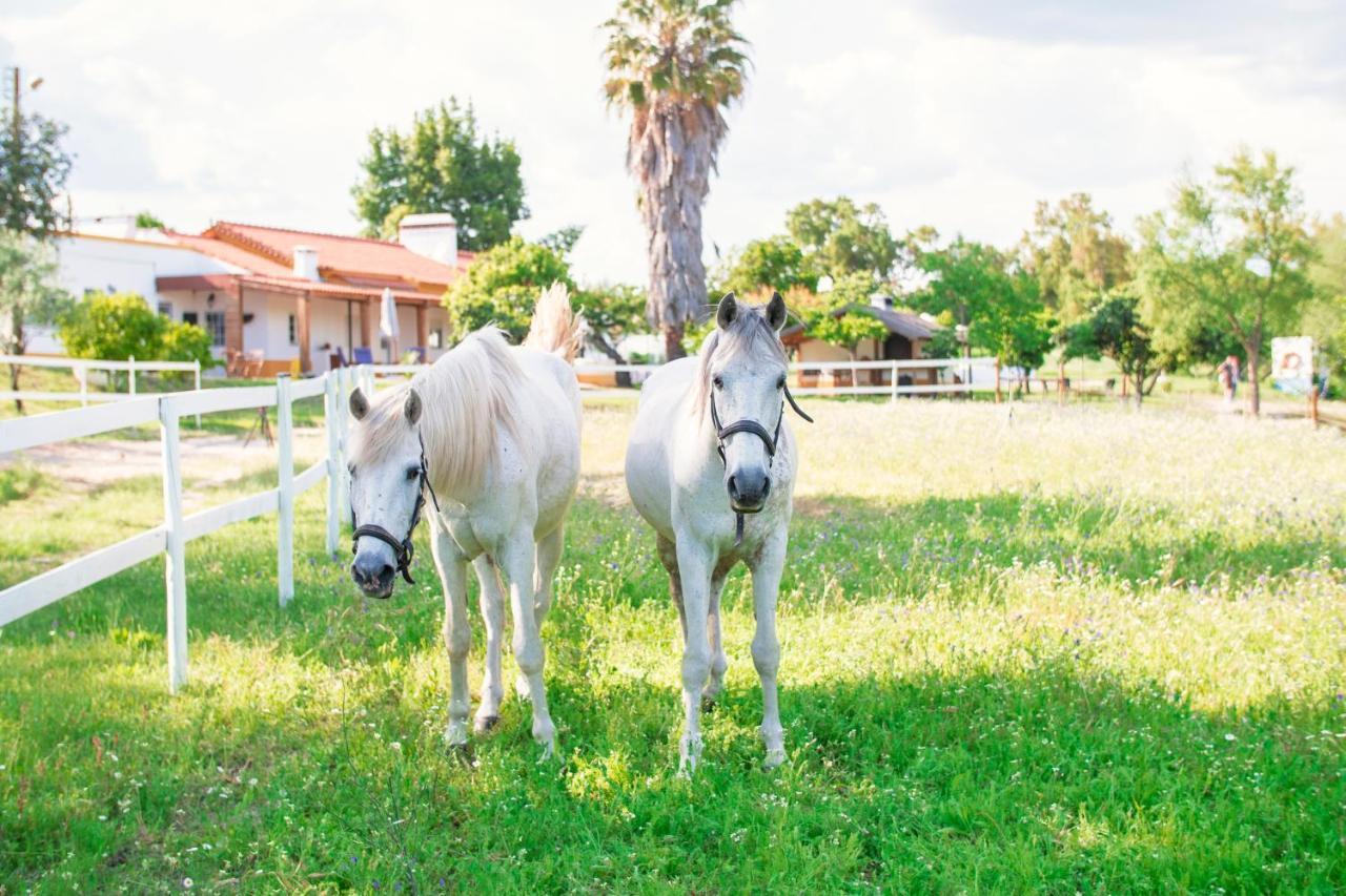 Holiday park Quinta Da Saudade